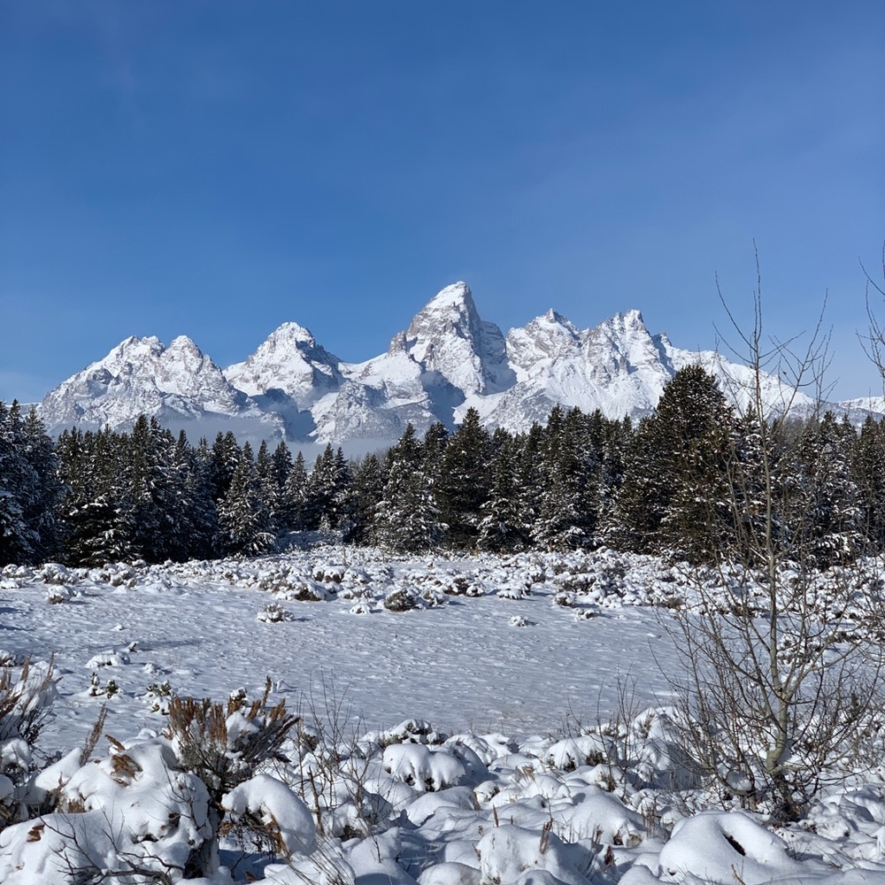 Meet your Posher, Patrick